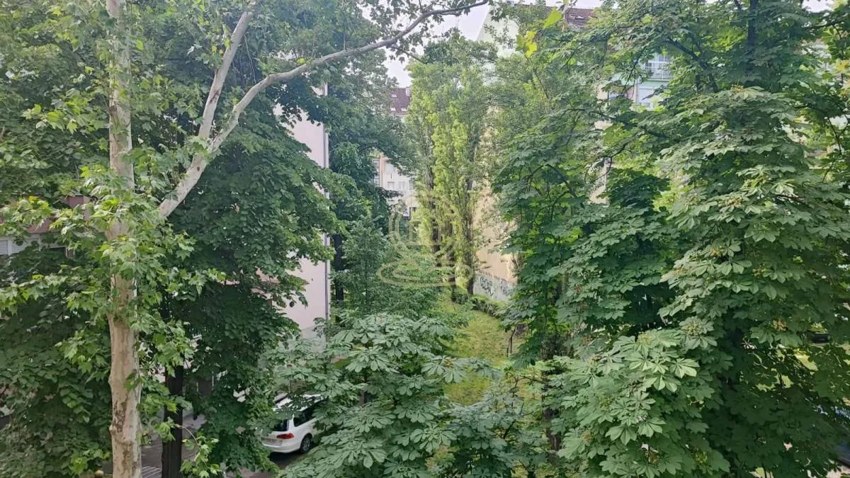 Pogled kroz krošnje drveća prema okolnim zgradama.