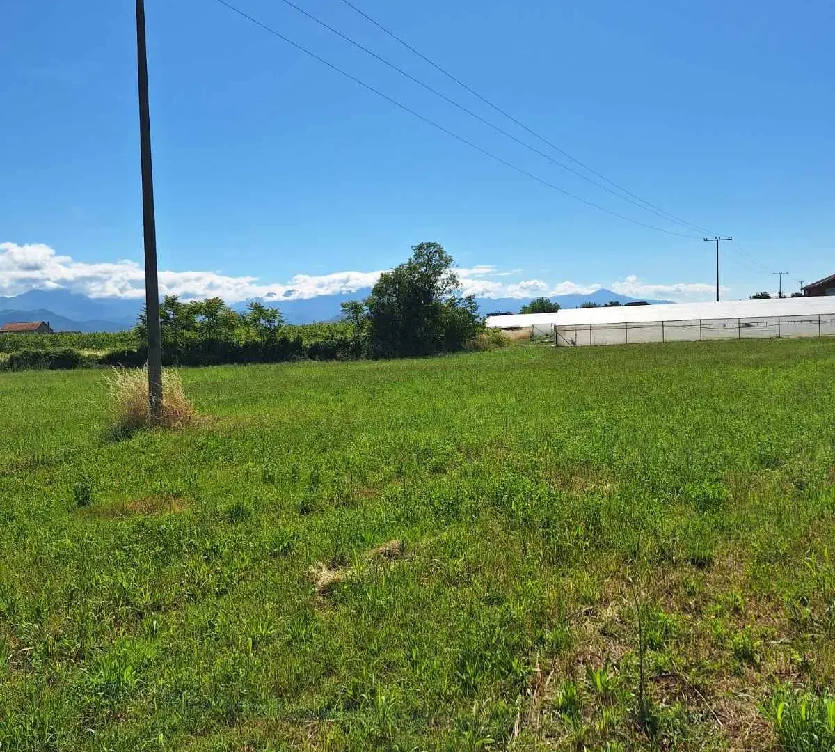 Prodaja, plac, 7400m², Zeta, Podgorica