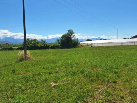 Sale, land lot, 7400m², Zeta, Podgorica - image 3