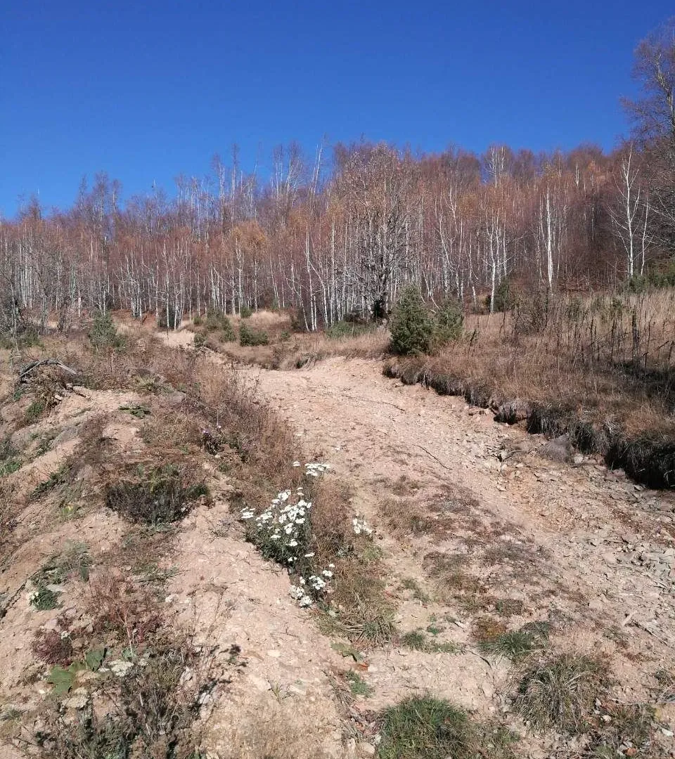 Prodaja, plac, 138000m², Kolašin, Crna Gora