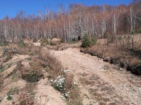 Prodaja, plac, 138000m², Kolašin, Crna Gora - image 5