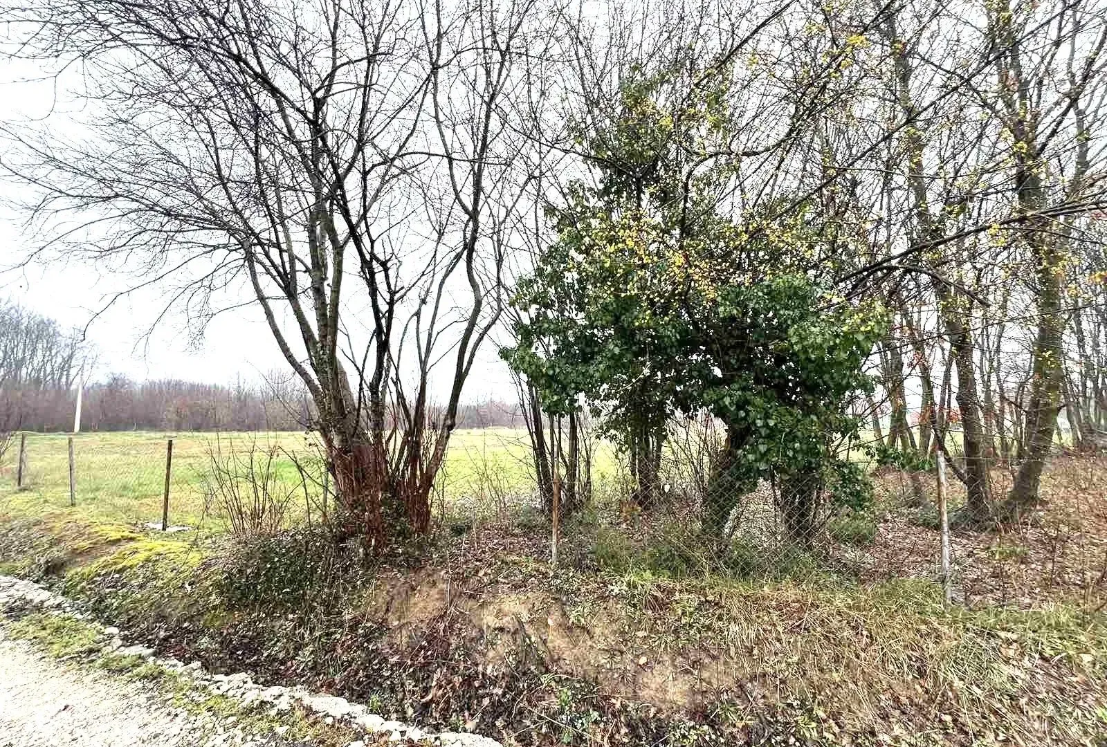 Prodaja, plac, 1258m², Ćurilac, Danilovgrad