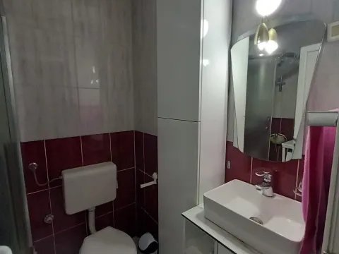 Izdavanje, jednosoban stan, 24m², Gintaš, Podgorica - image 2