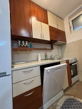 Manja kuhinja sa dvobojnim elementima i otvorenim vratima mašine za sudove. - image 5