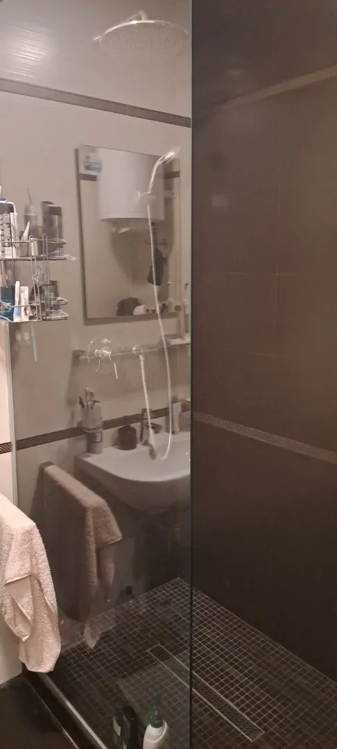 Small bathroom with a walk-in shower, washbasin, and mirror.
