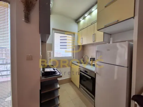 Rent, two bedroom apartment, 34m², Višnjička Banja, Palilula Sve Podlokacije - image 12