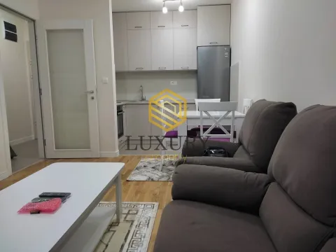 Izdavanje, jednosoban stan, 40m², Pobrežje, Podgorica - image 6