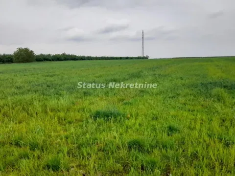 Pogled na prostrano zeleno zemljište pod travom. - image 3