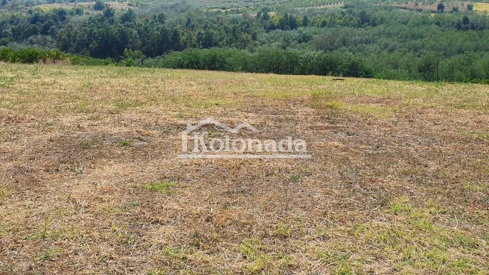 Prodaja, plac, 15800m², Mali Požarevac, Sopot