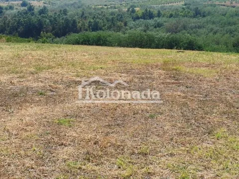 Prodaja, plac, 15800m², Mali Požarevac, Sopot - image 6