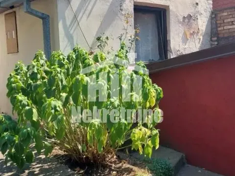 Prodaja, jednosoban stan, 20m², Čukarica, Beograd - image 6