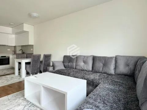 Rent, one bedroom apartment, 46m², Stari Aerodrom, Podgorica - image 3