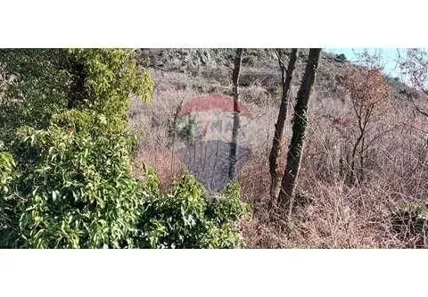 Prodaja, plac, 2000m², Budva, Crna Gora - image 3