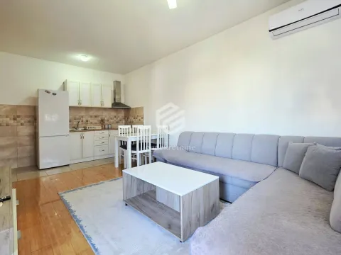 Izdavanje, jednosoban stan, 46m², Stari Aerodrom, Podgorica - image 3