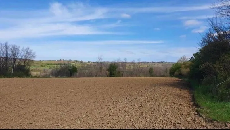 Prodaja, plac, 22260m², Nemenikuće, Sopot