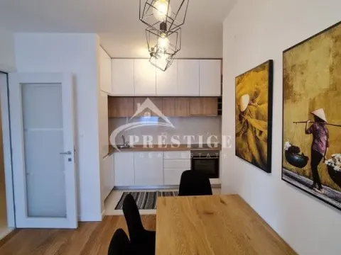 Izdavanje, jednosoban stan, 47m², Central Point, Podgorica - image 9