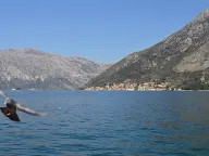Prodaja, plac, 350m², Stoliv, Kotor - image 9