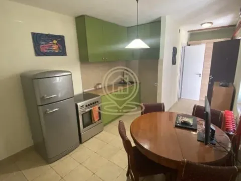 Rent, one bedroom apartment, 40m², Bogoslovija, Palilula Sve Podlokacije - image 12
