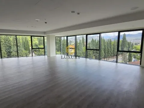 Rent, office space, 2542m², Centar, Podgorica - image 6