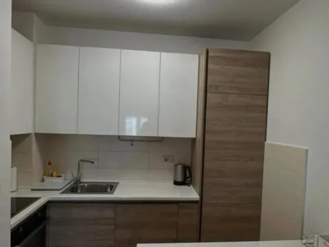 Izdavanje, jednosoban stan, 45m², City Kvart, Podgorica - image 4