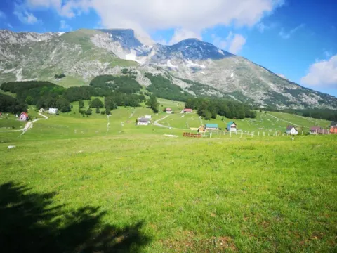 Prodaja, plac, 11500m², Pošćenski Kraj, Žabljak - image 6