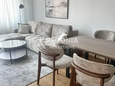 Izdavanje, dvosoban stan, 50m², Vračar Sve Podlokacije, Beograd - image 4