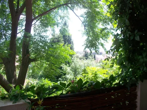 View from a terrace surrounded by lush greenery. - image 2