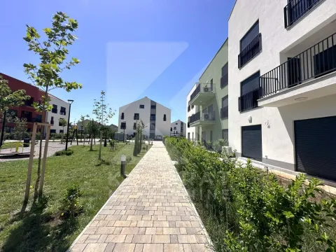 Paved walkway with landscaped courtyard and buildings in the complex. - image 32