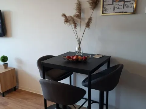 Prodaja, garsonjera, 29m², Bulevar Oslobodjenja, Novi Sad Sve Podlokacije - image 3