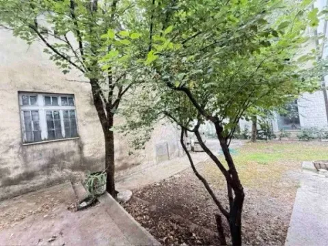 Izdavanje, dvosoban stan, 80m², Centar, Cetinje - image 9