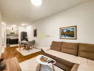 Izdavanje, jednosoban stan, 44m², Pobrežje, Podgorica - image 8