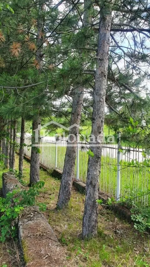 Prodaja, kuća, 96m², Sopot, Beograd