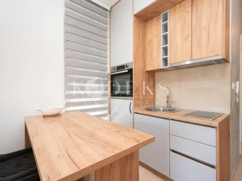 Rent, studio apartment, 27m², Stari Aerodrom, Podgorica - image 3