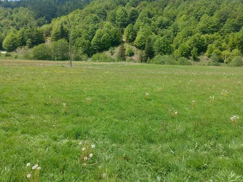 Prodaja, plac, 7000m², Veruša, Podgorica - image 9