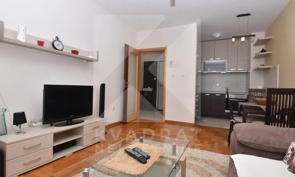Rent, one bedroom apartment, 45m², Tuški Put, Podgorica