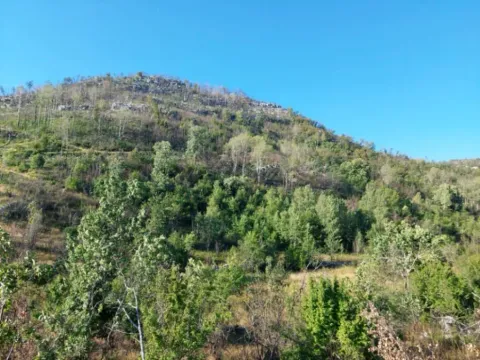 Prodaja, plac, 480000m², Brestice, Nikšić - image 10