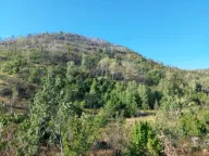 Sale, land lot, 480000m², Brestice, Nikšić - image 10