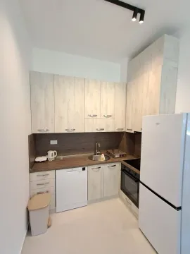 Rent, one bedroom apartment, 44m², Zabjelo, Podgorica - image 4