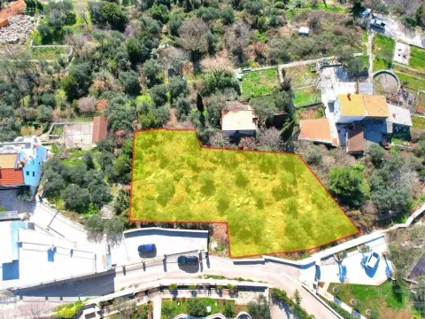 Prodaja, plac, 1254m², Reževići, Budva - image 10