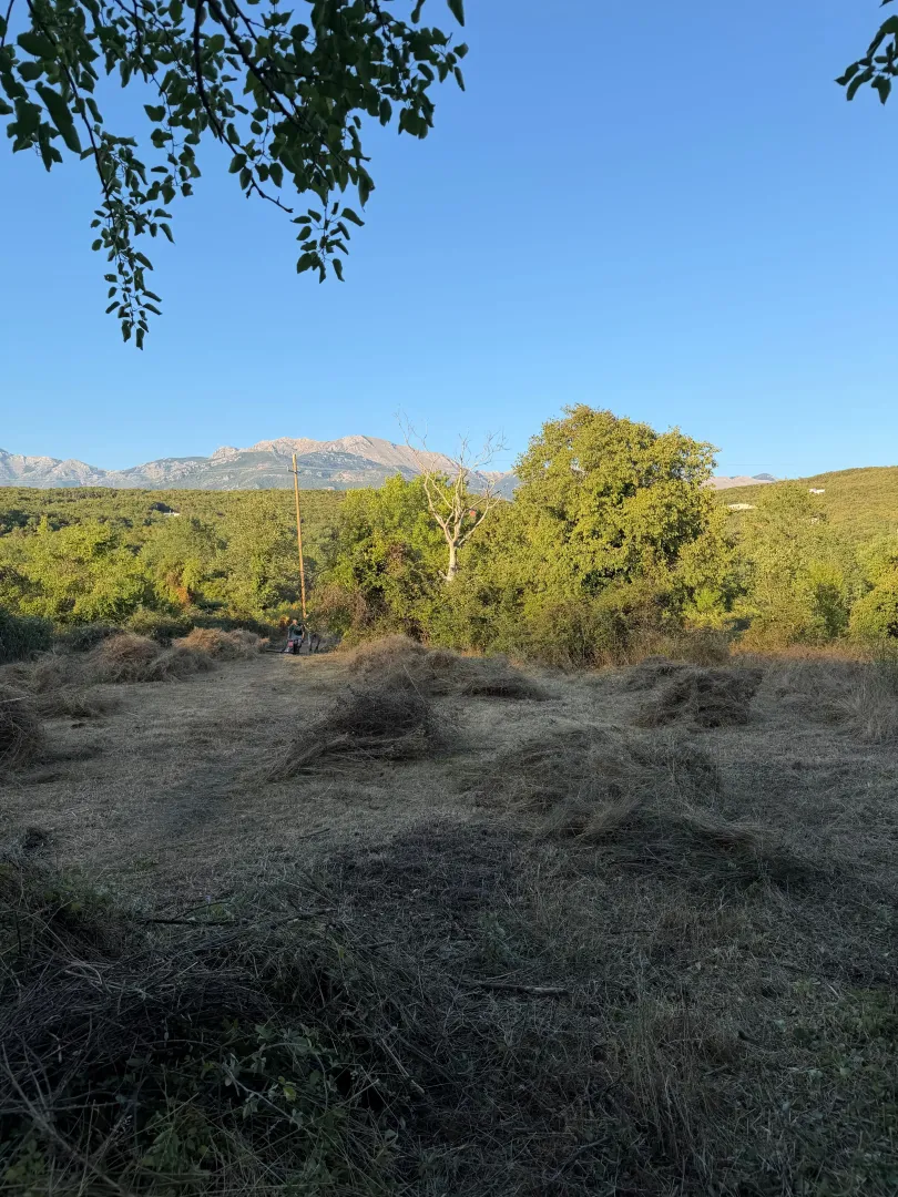 Pogled na prostrano zemljište sa rastinjem i planinama u pozadini.