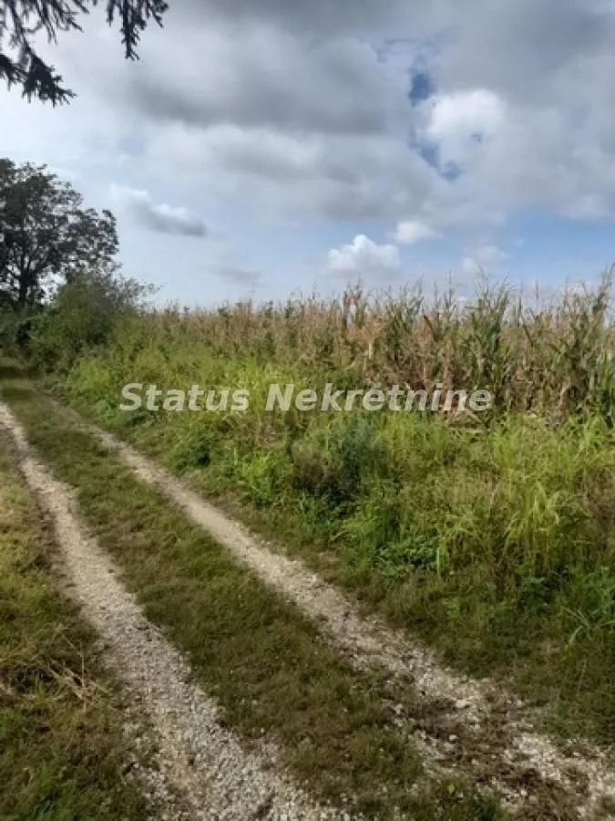 Prodaja, plac, 10800m², Banja Vrdnik, Irig