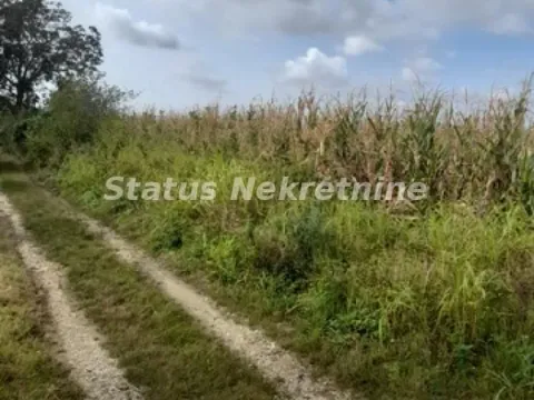 Prodaja, plac, 10800m², Banja Vrdnik, Irig - image 13