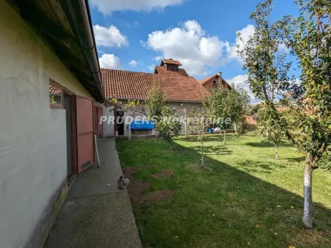 Sale, house, 220m², Zemun Ugrinovci, Zemun Sve Podlokacije - image 17