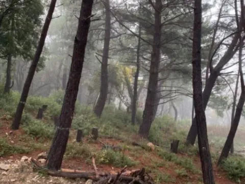 Prodaja, plac, 3626m², Kavač, Kotor - image 6