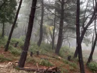 Sale, land lot, 3626m², Kavač, Kotor - image 6