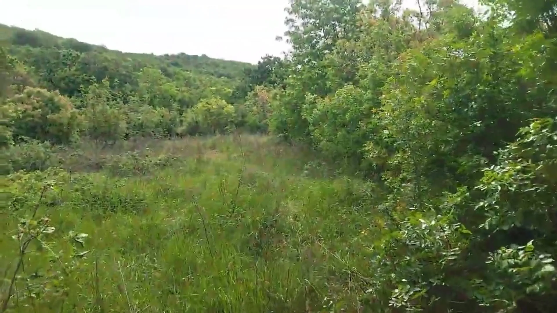 Prodaja, plac, 3493m², Barutana, Podgorica