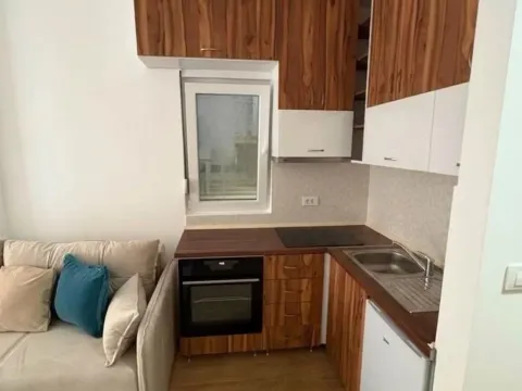 Rent, studio apartment, 37m², Golubovina, Budva - image 4