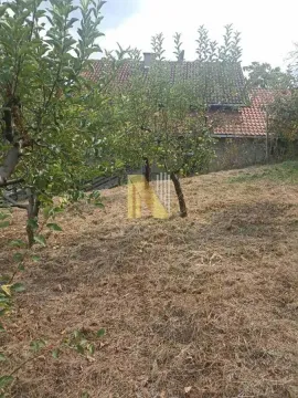 Dvorište sa voćnjakom ispred kuće. - image 6