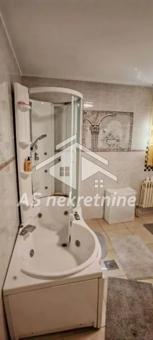 Izdavanje, kuća, 500m², Profesorska Kolonija, Palilula Sve Podlokacije
