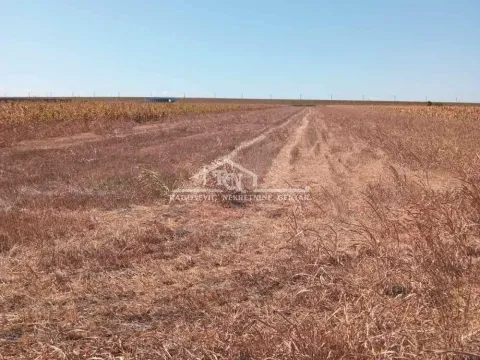 Sale, land lot, 5409m², Batajnica, Beograd - image 4